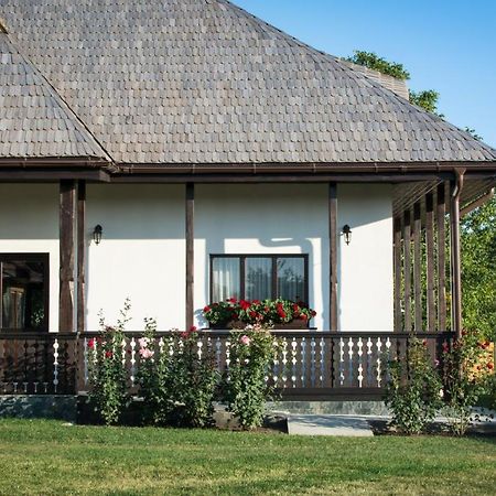 Pensiunea Tara Fagilor Suceava Exterior foto