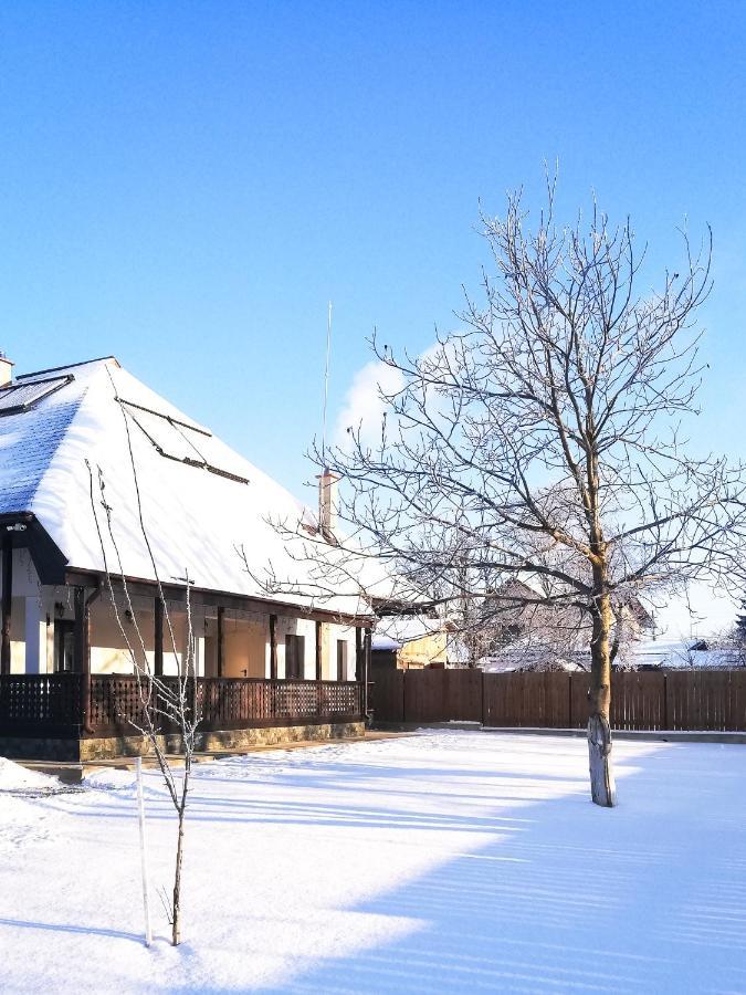 Pensiunea Tara Fagilor Suceava Exterior foto